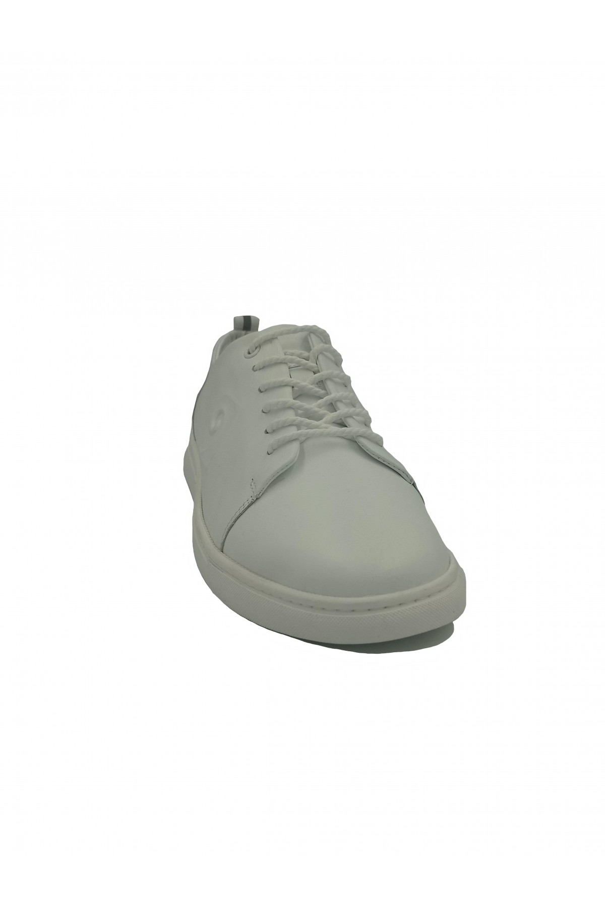 P.CARDIN SNEAKER 77609